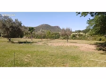 deux terrains à construire jumelés sur 7321 m2
