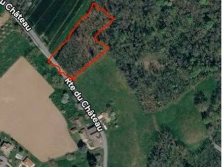 terrain boisé pour menuiserie et chauffage