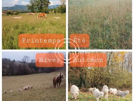 recherche hectare à acheter