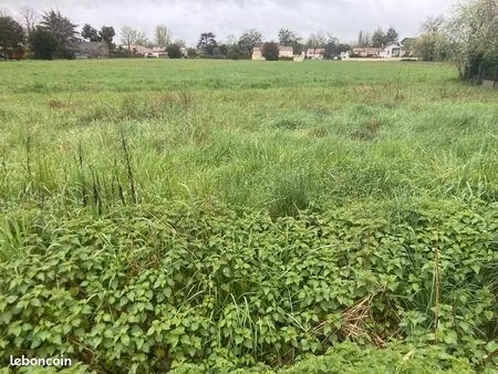 terrain 277 m² libourne