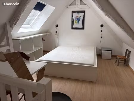 duplex meublé rénové centre ville