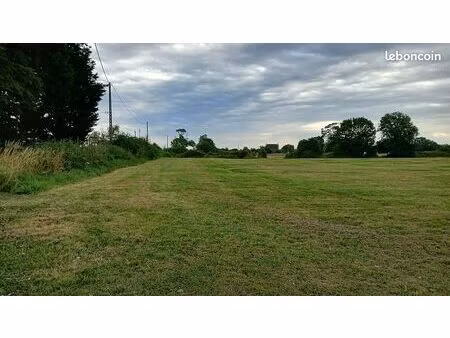 terrain constructible