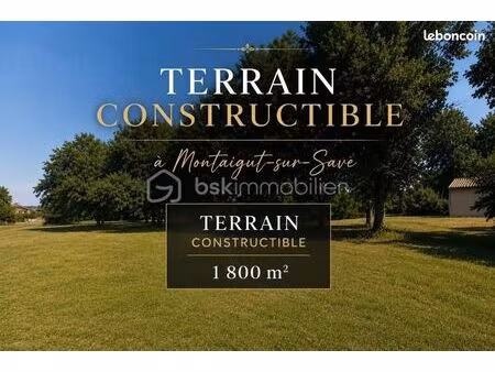 forêt 1 800 m² montaigut sur save