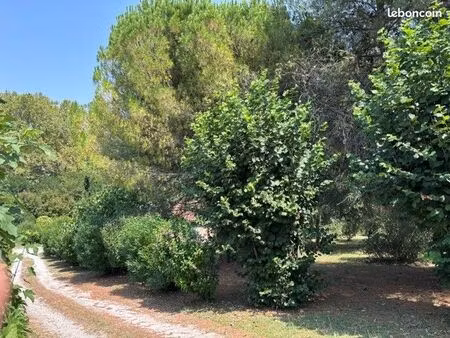 terrain 1 000 m² montgiscard
