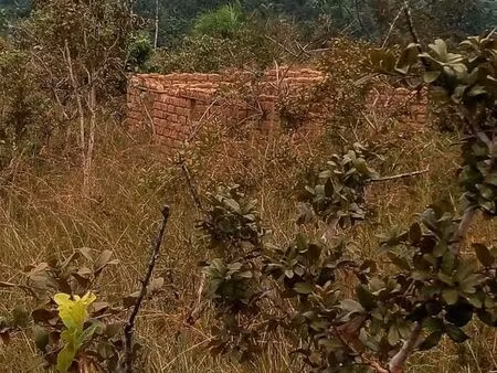joli terrain à vendre