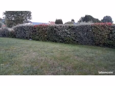 terrain 527 m² dammartin en serve