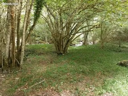 cherche parcelle de forêt
