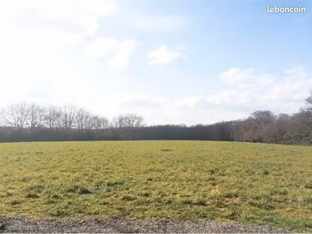 terrain 600 m² nouzilly