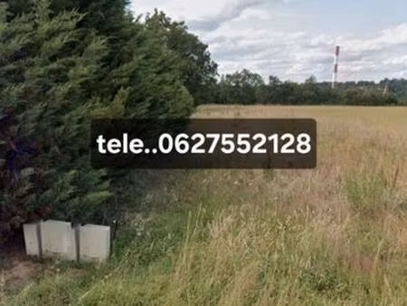 terrain plat eaux+électricité