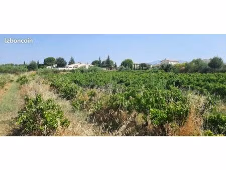 terrain à bâtir de 927 m² à mazan (84)
