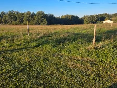 terrain constructible 1000m² plat