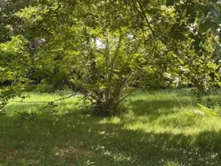 vente terrain à thorigné fouillard