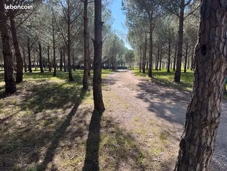 petit domaine arboré 11 ha bâtisse à rénover