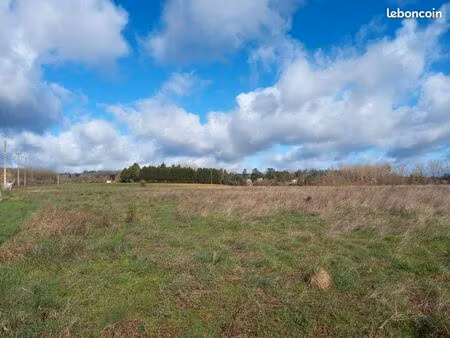 terrain 549 m² busque