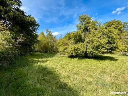 terrain constructible en lisière de forêt
