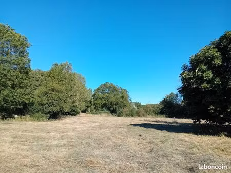 terrain à batir domqueur (80620) 1177m2