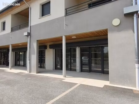 local professionnel a louer