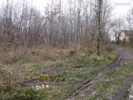 vends taillis 5500m2