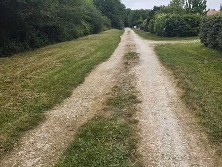 terrain constructible 1037m2 viabilisé a vendre a montbeton endroit calme et arboré (chêne