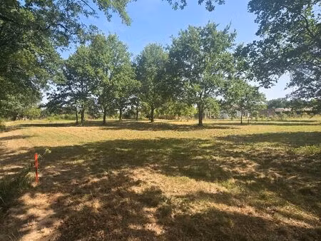 terrain constructible 850m2 viabilisé a vendre a montbeton endroit calme et arboré (chênes
