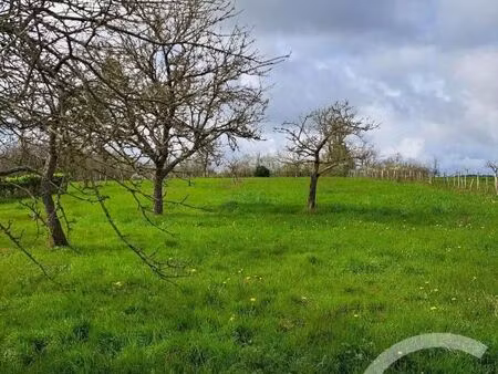 terrain 2 757 m² senille saint sauveur