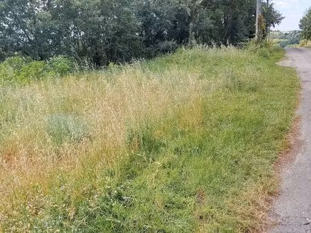 82200 moissac vente à terme terrain 3 ha 43 a point de vue source pour loisirs