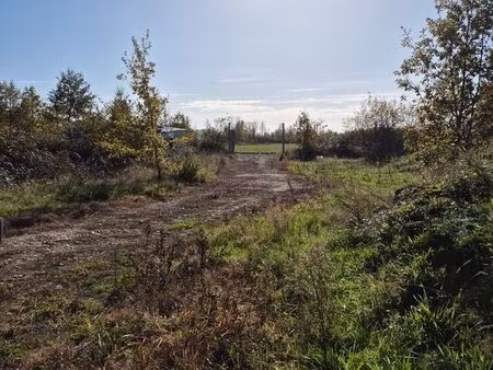 terrain agricole 1ha arboré  puit sera tondu pour la vente