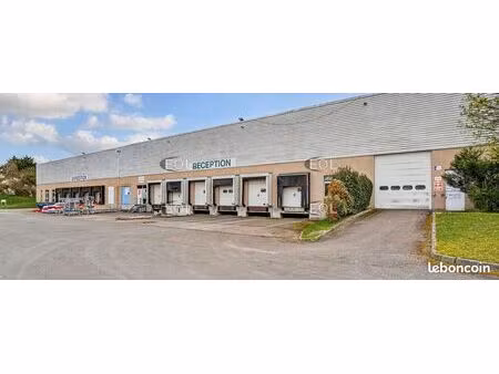local bureaux 713 m²