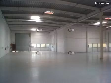 local bureaux 752 m²