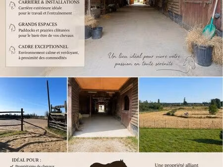 propriété équestre ranch