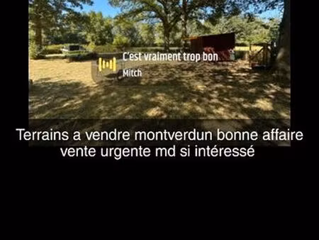 terrain de loisir gros potentiel