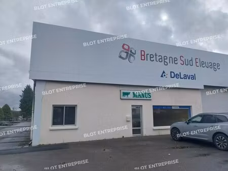 vente local d’activités chateauneuf du faou 29520 1673m²