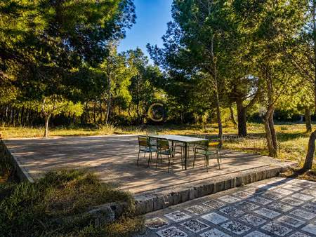 terrain de loisir 2300m2 la palme