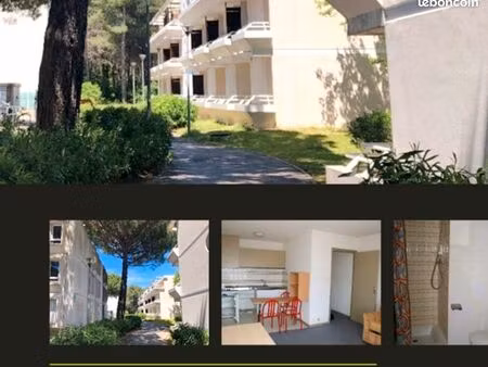 location studio meublé 19m² – attenant à montpellier business school (tram 3)
