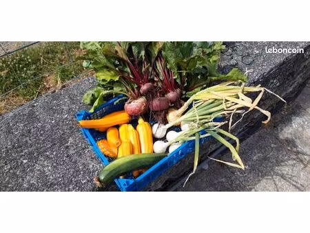 jardin potager à louer