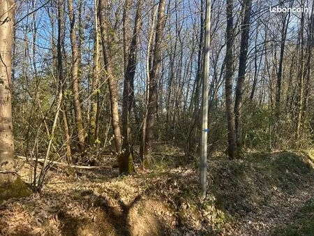 terrain 16 366 m² le vieil bauge