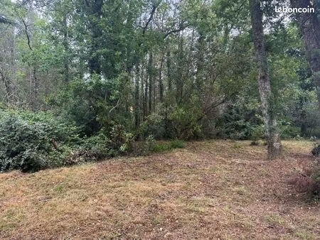 terrain 1 220 m² saint aubin de medoc