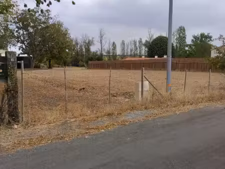 terrain constructible