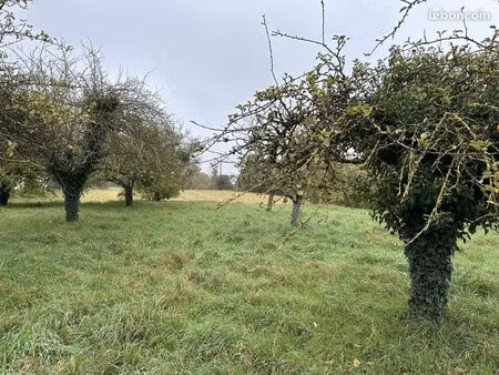 terrain 3485 m² broussy-le-grand