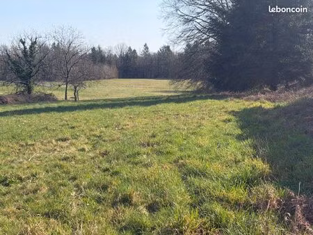vends terrain constructible avec cu - 1750m2-