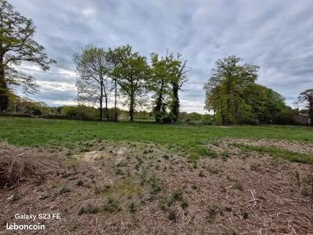 terrain constructible 5000 m²