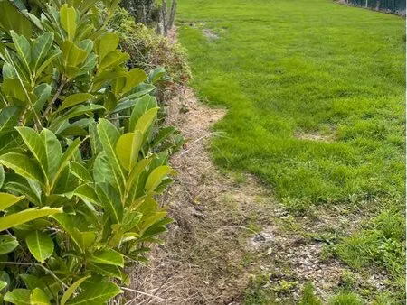 terrain constructible