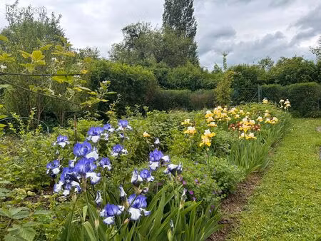 vente terrain / jardin de loisirs