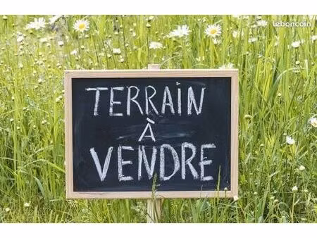 recherche terrain constructible