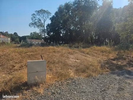 terrain constructible