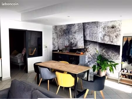 appartement 54m2 plein centre