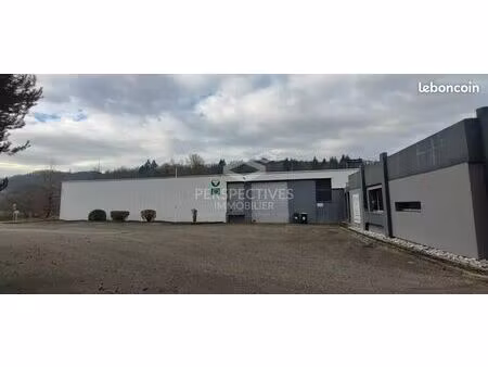 local 368 m² firminy