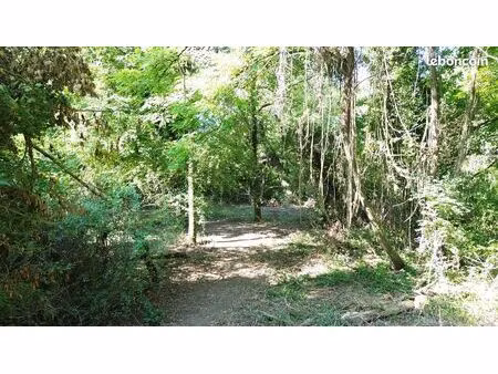 terrain de loisir 300 m² - maron - 10 min chru / 15 min nancy