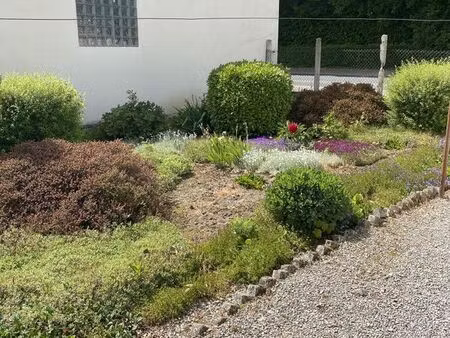 maison 53 m² ardres