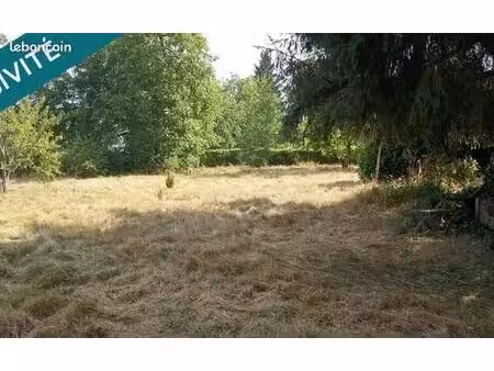 terrain constructible
